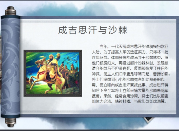 蕾迪玉酵沙棘酵素包邮