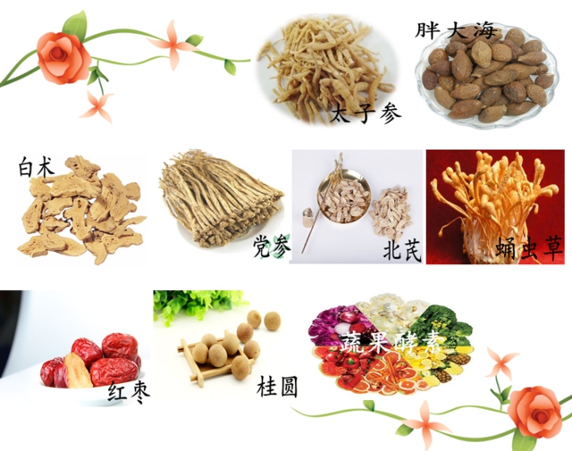 牛樟菇酵素加盟代理蕾迪牛樟菇酵素