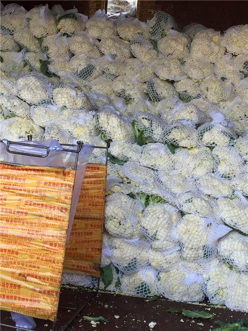 佛山蔬菜配送公司/廣州蔬菜配送/蘿崗蔬菜配送