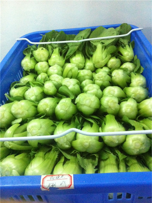 永和食堂承包公司/番禺蔬菜配送/從化送菜公司