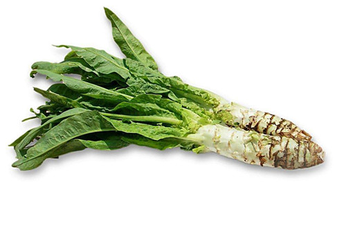 廣東膳食管理專家/黃埔送菜公司/花都送菜公司