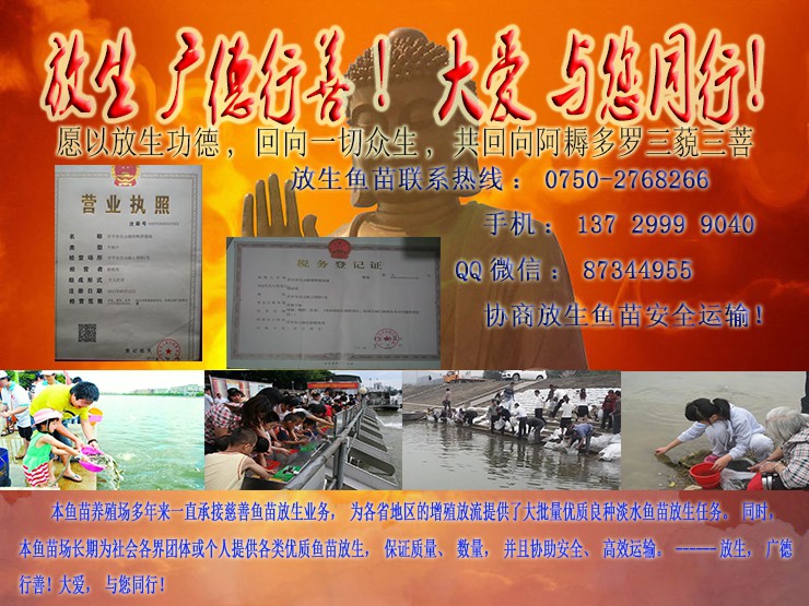 東興白鯧魚苗批發(fā)【明輝水產(chǎn)】