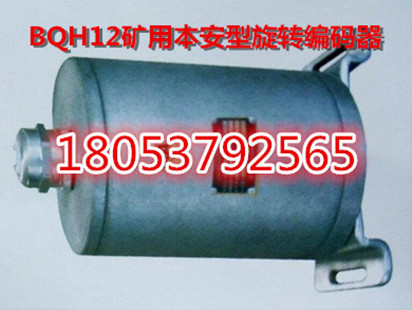 BQH12礦用本安型旋轉(zhuǎn)編碼器 18053792565