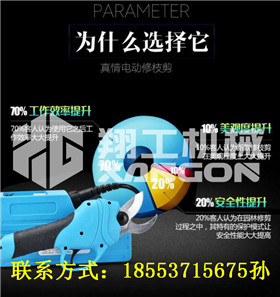 翔工電動果樹剪枝鉗 電剪刀 園林剪枝鉗 專用果樹修枝原始圖片2