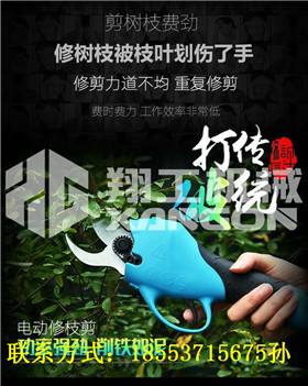 果樹修枝剪廠家直銷 電動(dòng)修枝剪什么牌子好 電動(dòng)修枝剪刀原始圖片2