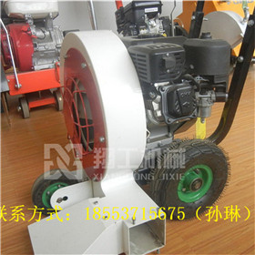 路面灌縫用的吹風(fēng)機(jī) 裂縫清理小型手推吹風(fēng)機(jī) 除塵吹風(fēng)機(jī)原始圖片3