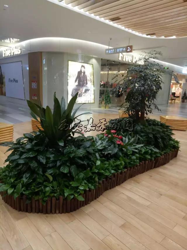 西安花卉租賃