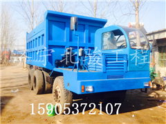 四不像履帶車 泥濘路專用履帶車  履帶農用車