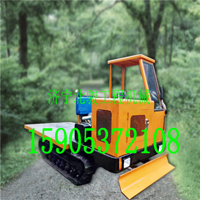  ?? 履帶底盤(pán) 山地特種履帶運(yùn)輸車(chē) 沼澤履帶拖拉機(jī) 廠家制造原始圖片3