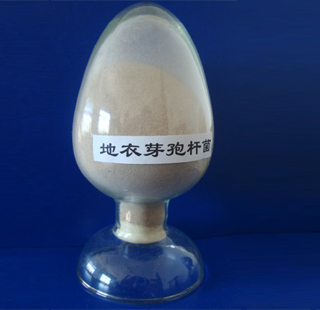 底改顆粒