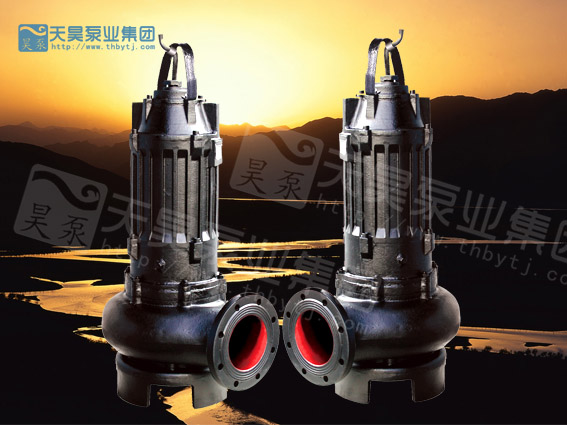 潛水式污水泵原始圖片3