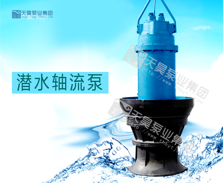 350QZB潛水軸流泵原始圖片2