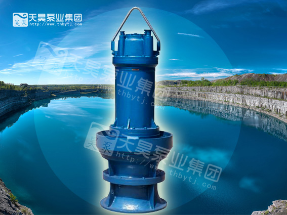 350QZB潛水軸流泵原始圖片3