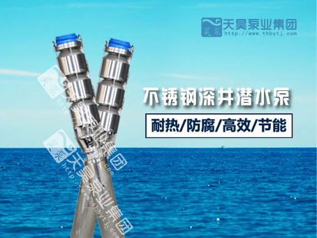 不銹鋼深井潛水泵原始圖片2