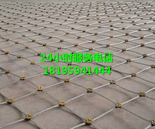 昌吉环形网