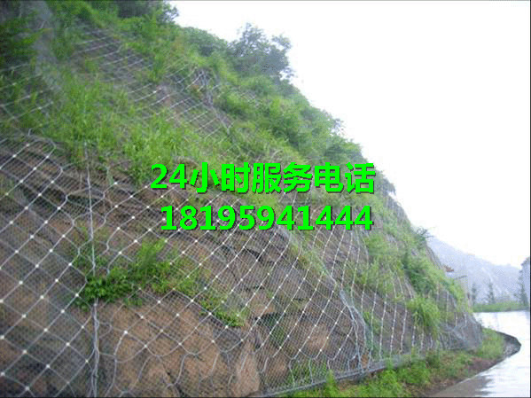 昌吉RX-050被动防护网（菱形）