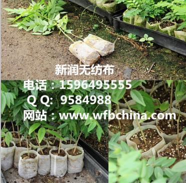 無紡布，無紡布廠家，無紡布生產(chǎn)基地，無紡布檢測，無紡布制品，無紡布價格