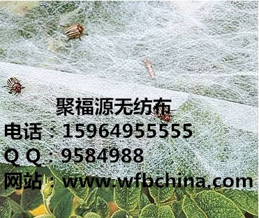 銷售河南醫(yī)療無紡布，諸城無紡布復(fù)合專用，西藏園林專用無紡布制品原始圖片2