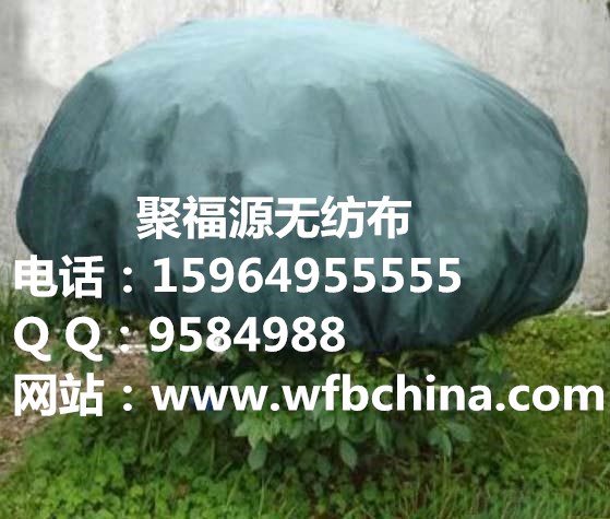 園林無紡布，農業無紡布，育秧無紡布，草坪防護無紡布，防蟲無紡布原始圖片2