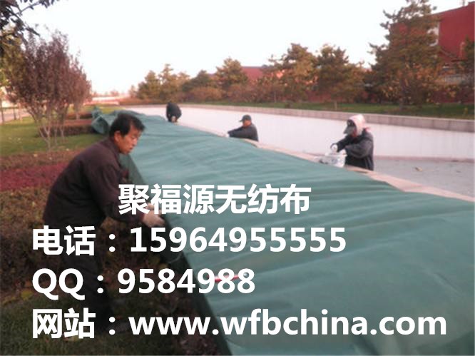 園林無紡布，農業無紡布，育秧無紡布，草坪防護無紡布，防蟲無紡布原始圖片3