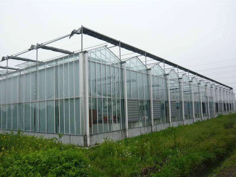 蔬菜大棚骨架制造廠