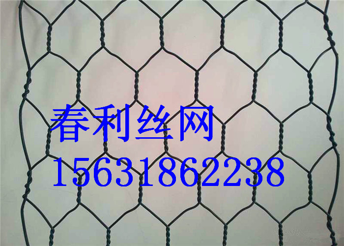 春利絲網(wǎng)供應(yīng) 高爾凡石籠網(wǎng) 火爆促銷 專業(yè)制造 可定制原始圖片2