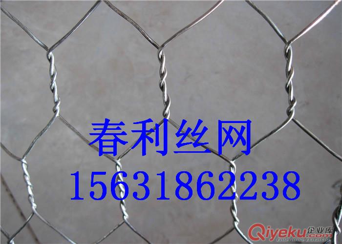 供應石籠網(wǎng) 格賓網(wǎng) 石籠網(wǎng)廠家 鍍鋅石籠網(wǎng) 包塑石籠網(wǎng)原始圖片2