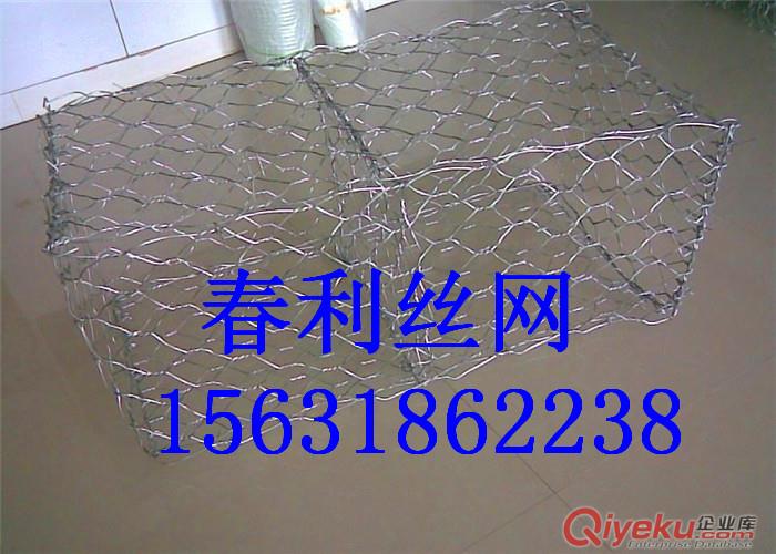 供應(yīng) 春利 河道石籠網(wǎng) 鍍鋅石籠網(wǎng) 格賓網(wǎng)廠家原始圖片3