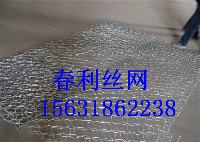 【安平春利】廠家供應(yīng) 石籠網(wǎng) 低碳鋼絲石籠網(wǎng) 批發(fā)定制原始圖片2