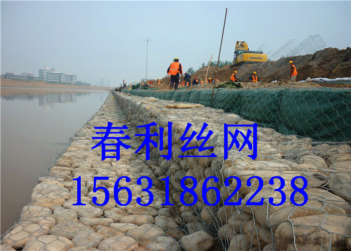 【安平春利】廠家供應(yīng) 石籠網(wǎng) 低碳鋼絲石籠網(wǎng) 批發(fā)定制原始圖片3