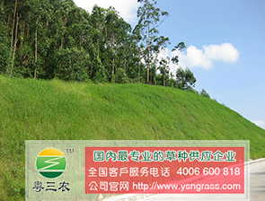 藍花亞麻市場行情資訊_廠家供應(yīng)藍花亞麻