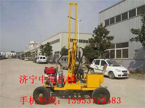 生產(chǎn)供應(yīng)高速公路護(hù)欄打樁機(jī)原始圖片2