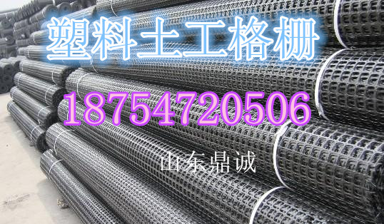 雙向塑料土工格柵的生產廠家鼎誠熱賣原始圖片2