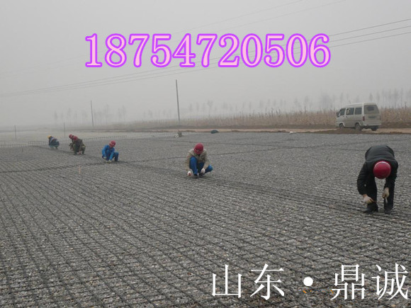立式單刀電動液壓切膠機就數山東鼎誠的價格{zd1}質量{zh0}了