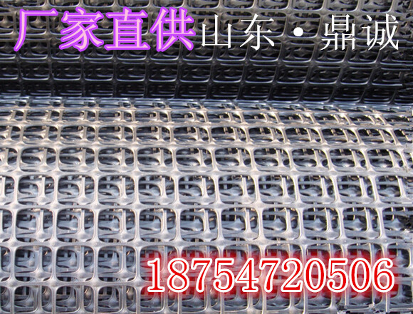 山東鼎誠是生產雙向塑料土工格柵質量{zh0}價格{zd1}的廠家原始圖片2