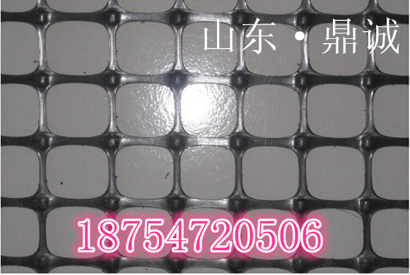山東鼎誠是生產雙向塑料土工格柵質量{zh0}價格{zd1}的廠家原始圖片3