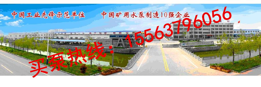 供應(yīng)BQS礦用隔爆型潛水排沙泵 BQS礦用排污泵價格原始圖片3