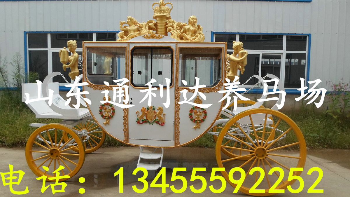 10萬養馬可以養多少匹 阿拉伯馬馬駒價格 騎乘馬養殖效原始圖片3