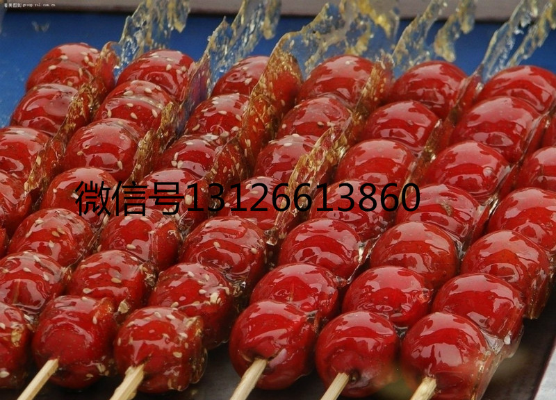 濟(jì)南醉爐烤魚培訓(xùn)多少錢
