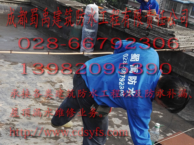 成都專修各種屋頂漏水 外墻滲水 地下室堵漏 屋面防水工程