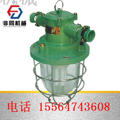 DGC175/127礦用隔爆型投光燈