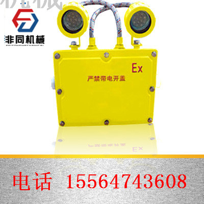  DGS20／127Y礦用隔爆型熒光燈