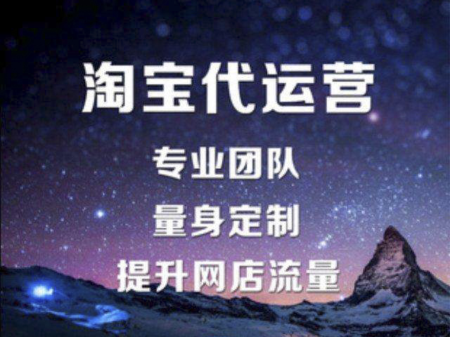 lhz網店代運營