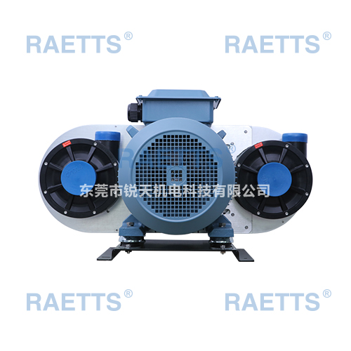 RAETTS300雷茨高壓渦輪式鼓風機原始圖片2