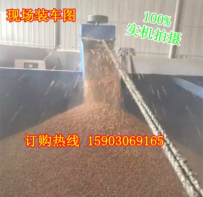 廠家現(xiàn)貨供應(yīng)不同產(chǎn)量小麥裝車機(jī) 每小時(shí)5噸 10噸 20噸原始圖片3