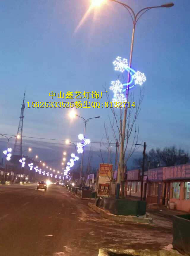 LED节日灯LED灯杆造型灯LED灯光隧道