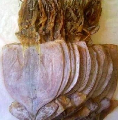 廣州農(nóng)產(chǎn)品配送_{推薦}廣州超值的廣州送菜