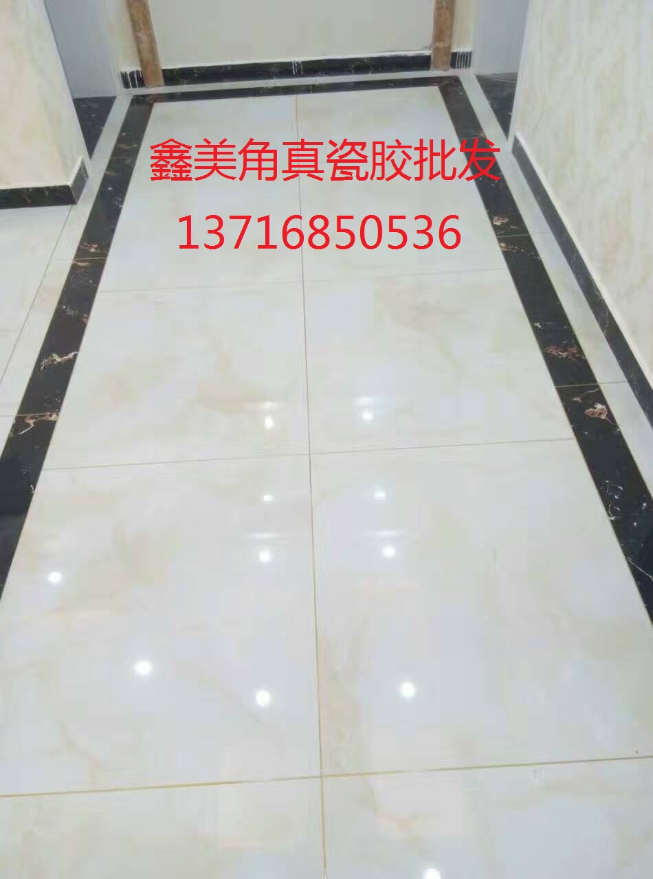 納米銀離子鑫美角真瓷膠批發13716850536原始圖片3