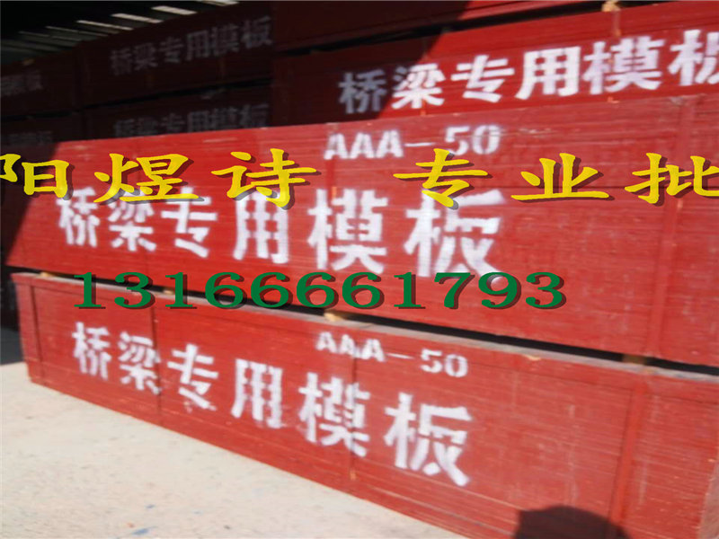 沈陽(yáng)橋梁板 沈陽(yáng)橋梁專(zhuān)用模板13166661793廠(chǎng)家批發(fā)原始圖片3