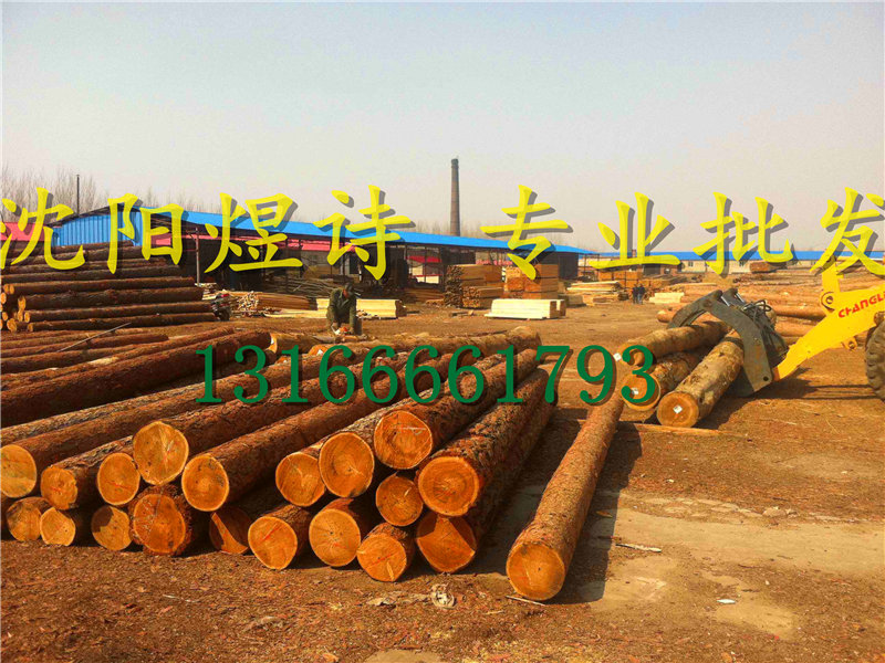 沈陽木材加工廠 煜詩木材大量批發(fā)13166661793